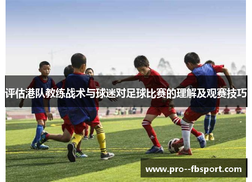 评估港队教练战术与球迷对足球比赛的理解及观赛技巧