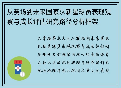 从赛场到未来国家队新星球员表现观察与成长评估研究路径分析框架